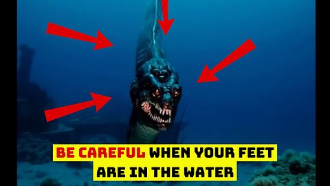 be careful when your feet are in the water