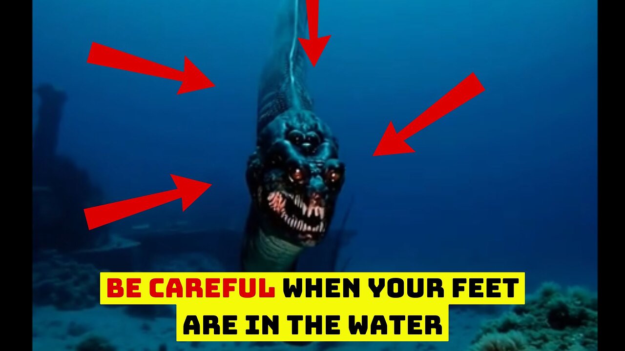 be careful when your feet are in the water