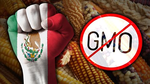 Mexico Says No to GMOs - #NewWorldNextWeek