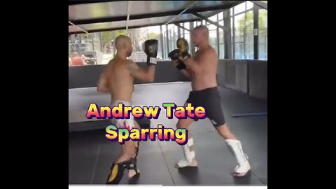 Andrew Tate -Sparring