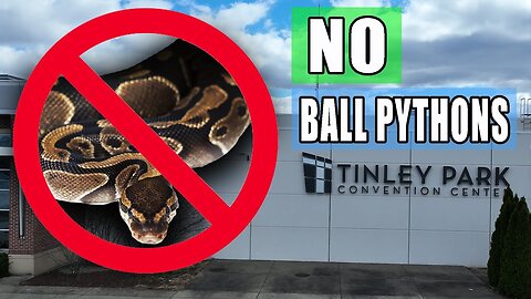 NO Ball Pythons Allowed!