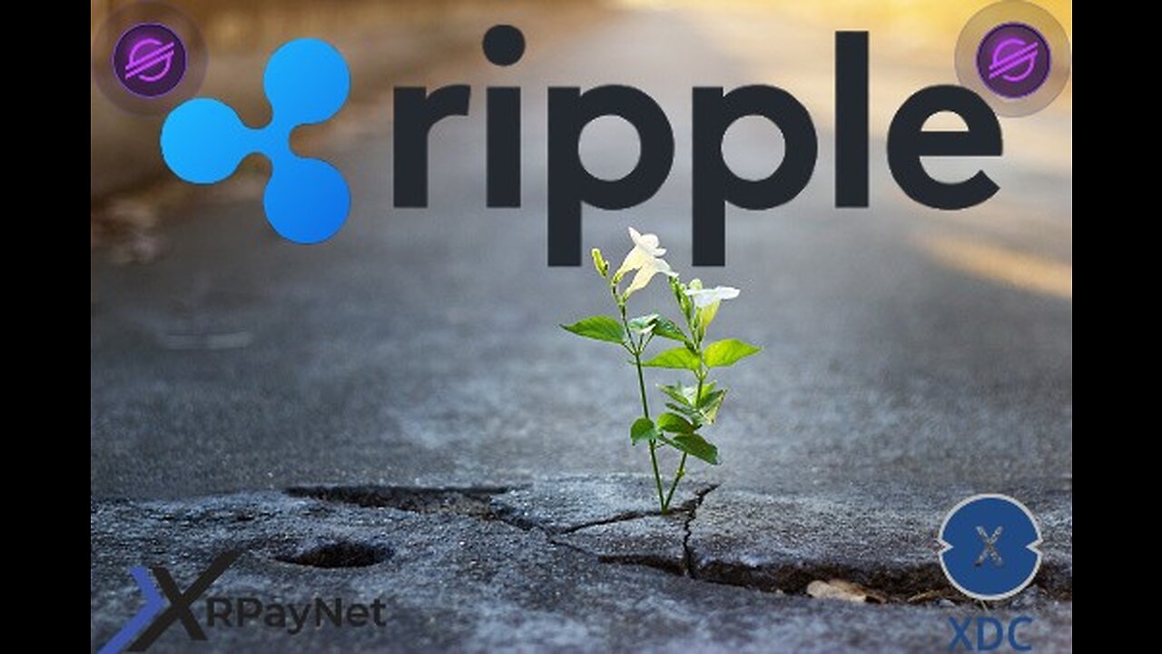 Ripple, XDC & XRPayNet!