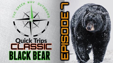 TGWO Quick Trips Classic - Late Season Black Bear