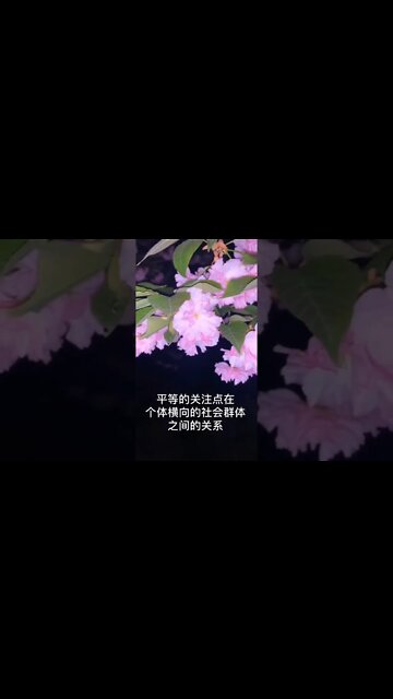 开悟堂世界公民频道 Kai wu tang world citizen channel