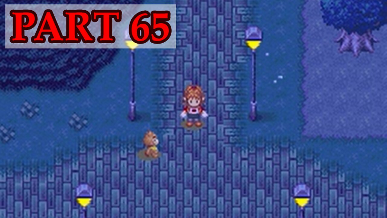 Let's Play - Harvest Moon DS Cute part 65