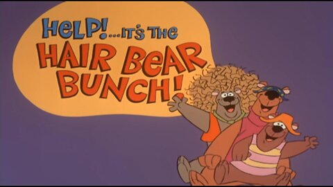 Help!... It's the Hair Bear Bunch!