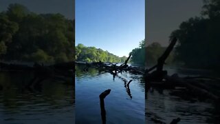 Trout Fishing on The River