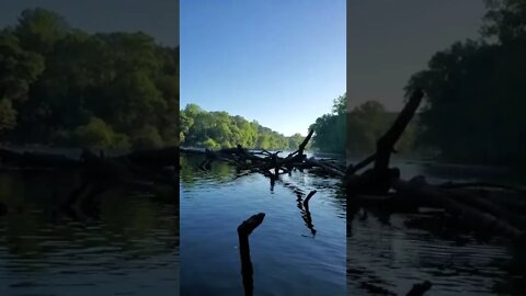 Trout Fishing on The River