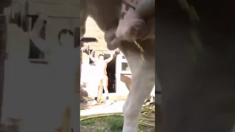 wait for it🤣🤣🤣🤦‍♀️