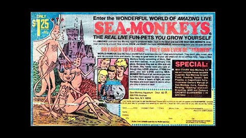 SPOILER ALERT: Wordle of the Day for May 16, 2022 ... Happy? Sea Monkey Day!