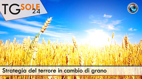 TgSole24 - 31 ottobre 2022 - Strategia del terrore in cambio di grano