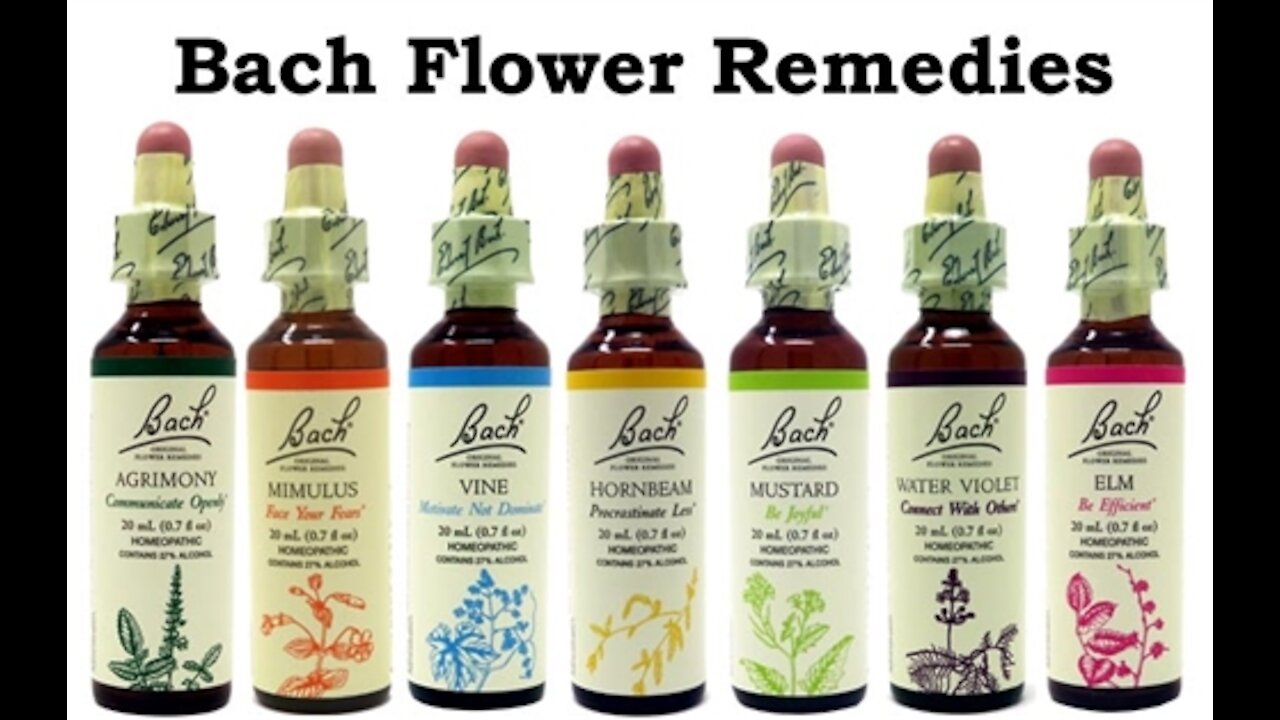 Bach Flower Remedies – Flowers That Can Heal You