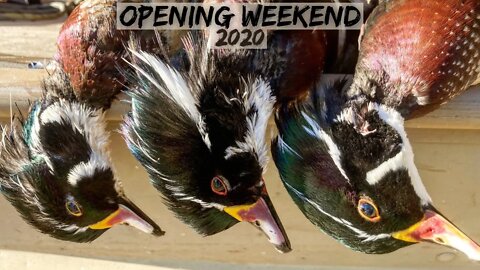 Georgia Duck Hunting - Opening Weekend 2020