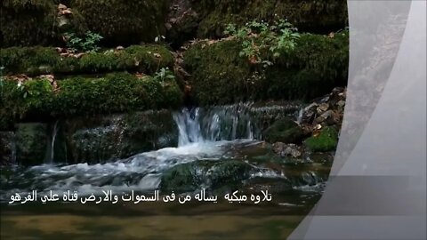تلاوه مبكيه يسأله من فى السموات والارض قناة علي الفرهود
