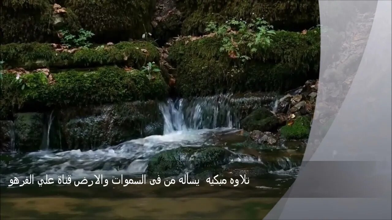 تلاوه مبكيه يسأله من فى السموات والارض قناة علي الفرهود