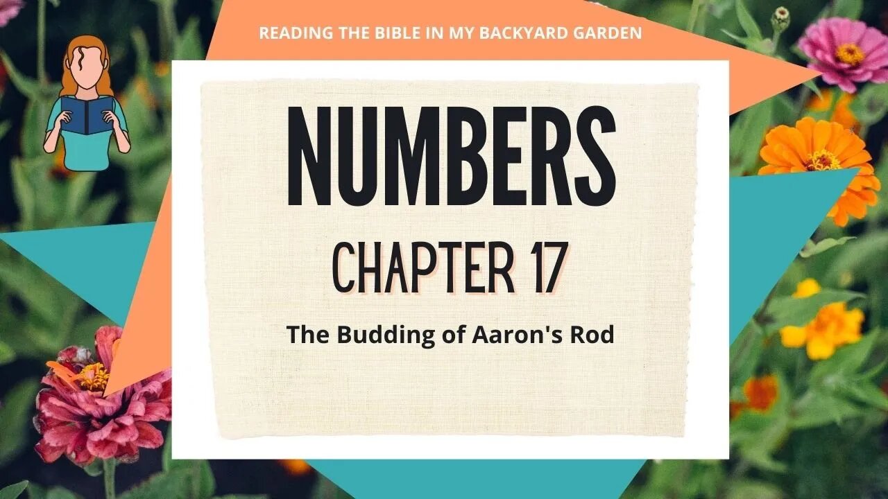 Numbers Chapter 17 | NRSV Bible - Read Aloud