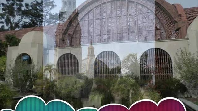 Got holiday guests? 5 great spots to take them in San Diego