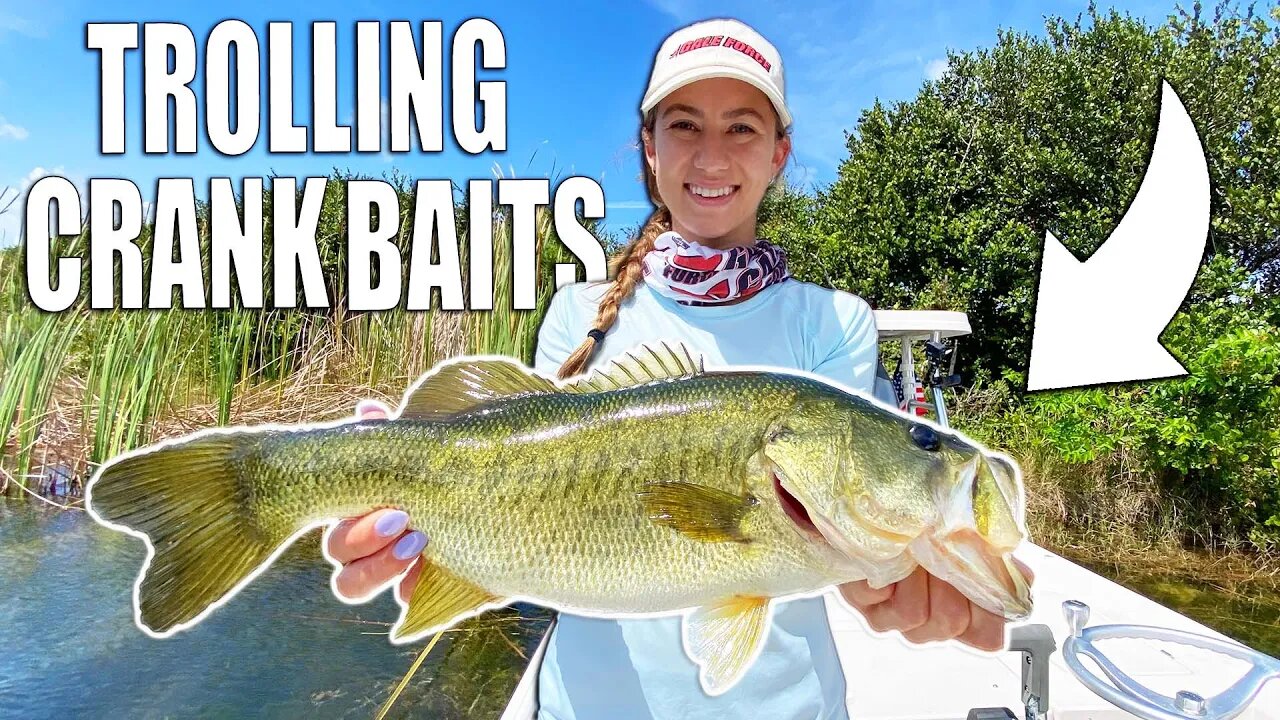 Fishing a NEW Lake with Artificial Bass Lures!