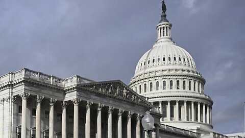 12/19: The Daily Report