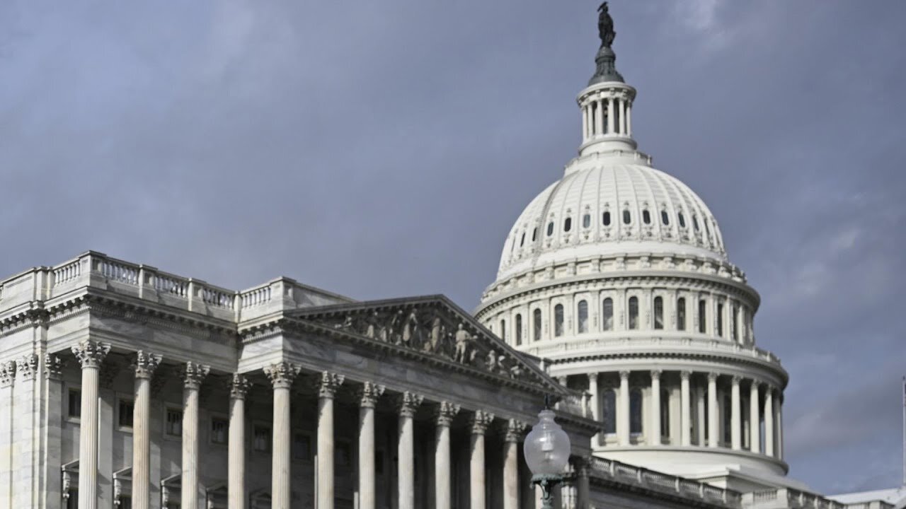 12/19: The Daily Report