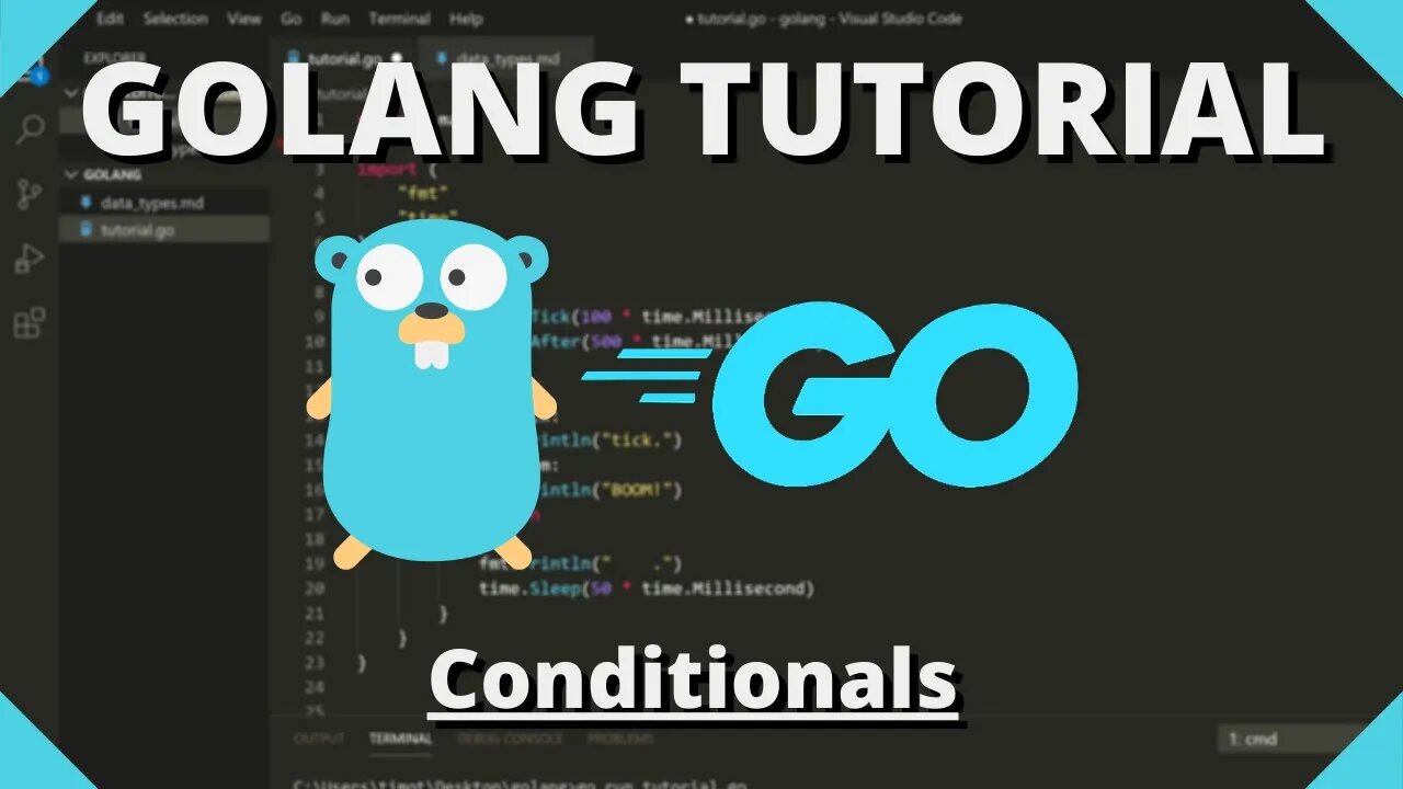 Golang Tutorial #7 - Conditions & Boolean Expressions