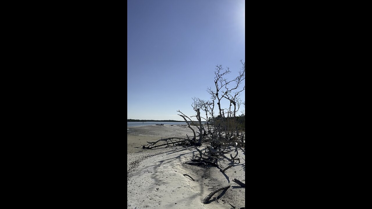 Kice Island, Florida #FYP #Kice #10KIslands #SWFL #Kayaking #TenThousandIslands #KiceIsland #4K