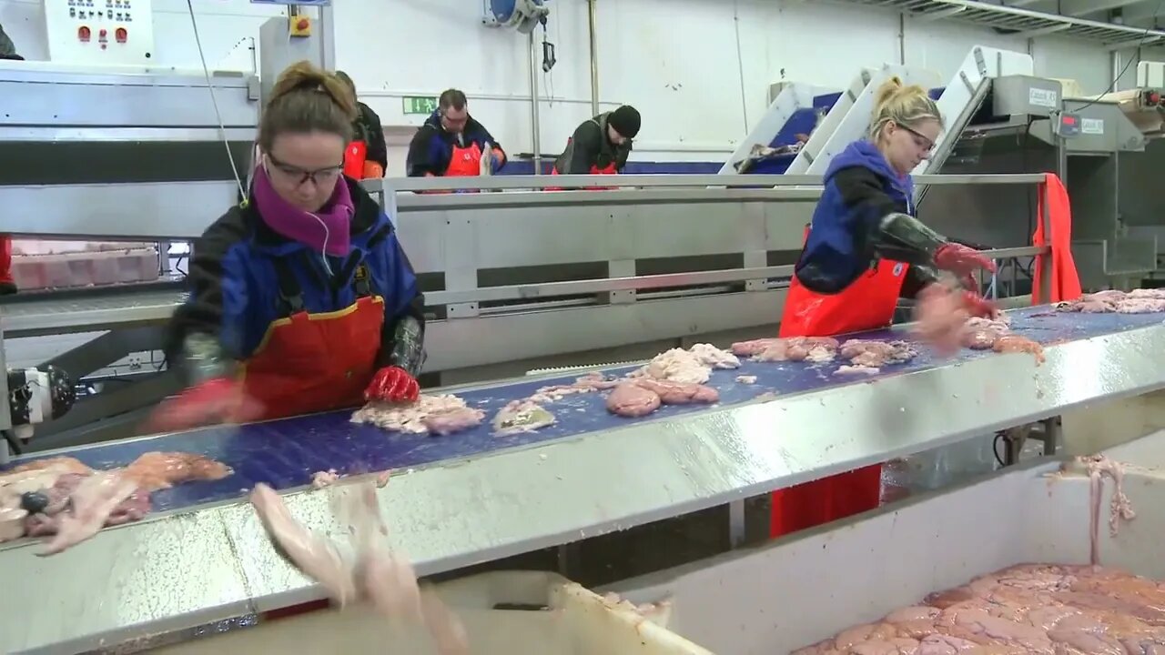 Women work on an assembly line at a fish processing factory