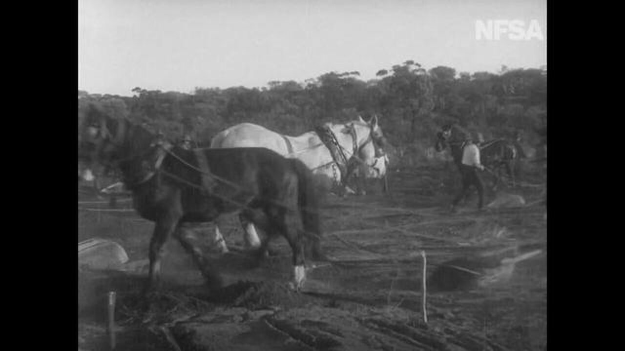 Commonwealth Of Australia - Commonwealth Railways - Australia's Royal Line