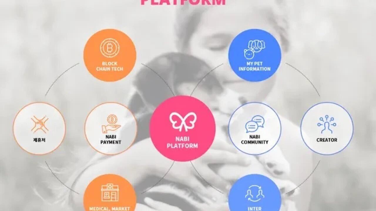 Nabi Platform, 반려동물 코인, Bitin Meetup, Blockchain 비트인거래소 TwoIFC, 서울특별시 영등포구, 국제금융로