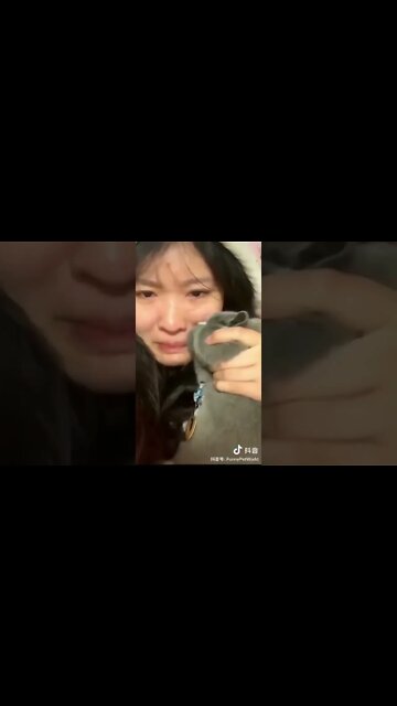 Cats are Multipurpose Tools to Use in our Daily Lives that you Probably didn't Know😂