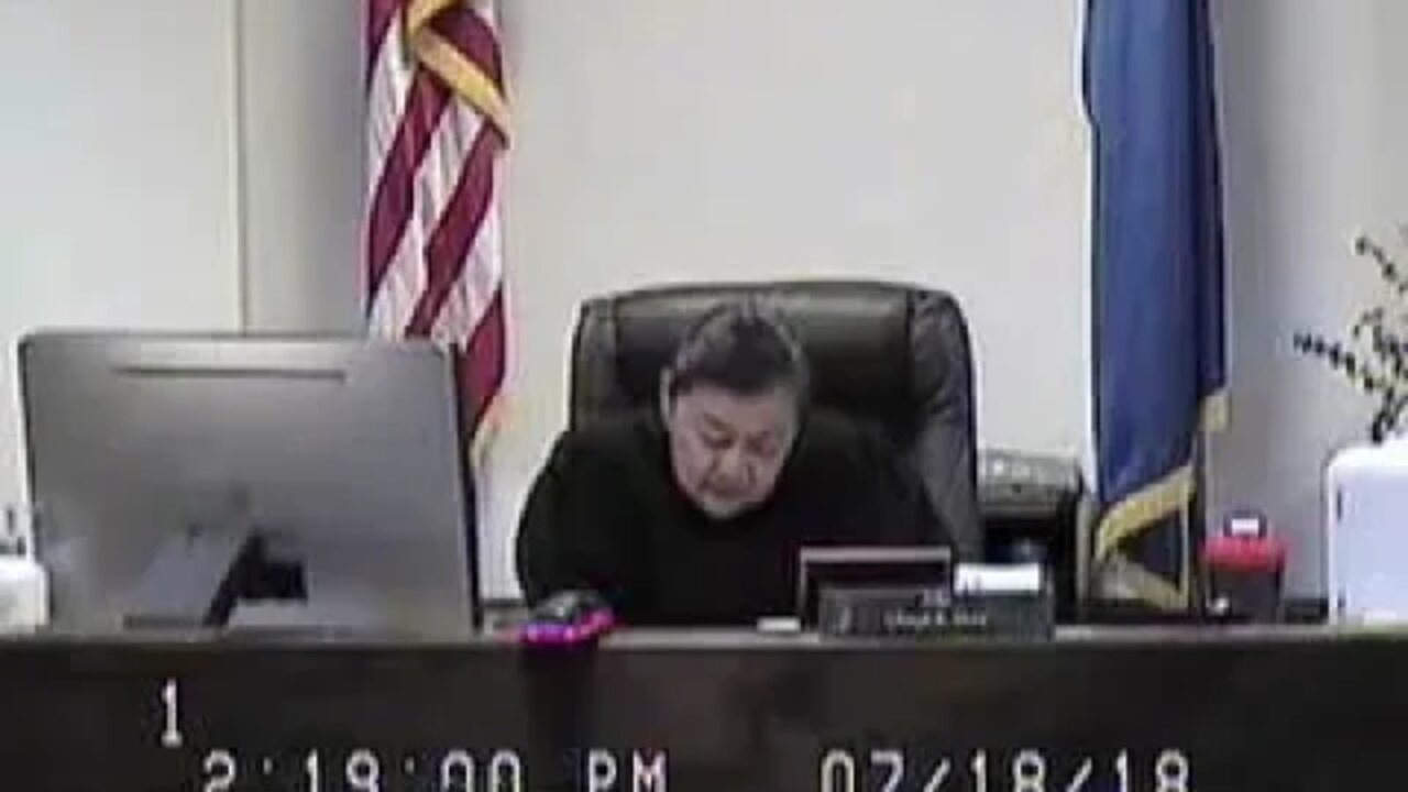 Nevada Attorney Donohue matter before Cheryl Moss Clark County Family Court Judge 7/18/18 2-3