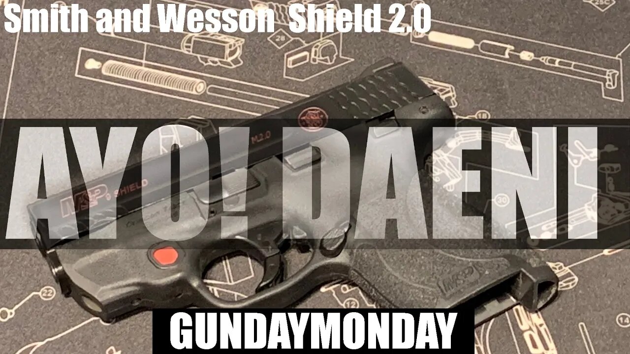 Smith and Wesson Shield 2.0 | AYO! Daeni