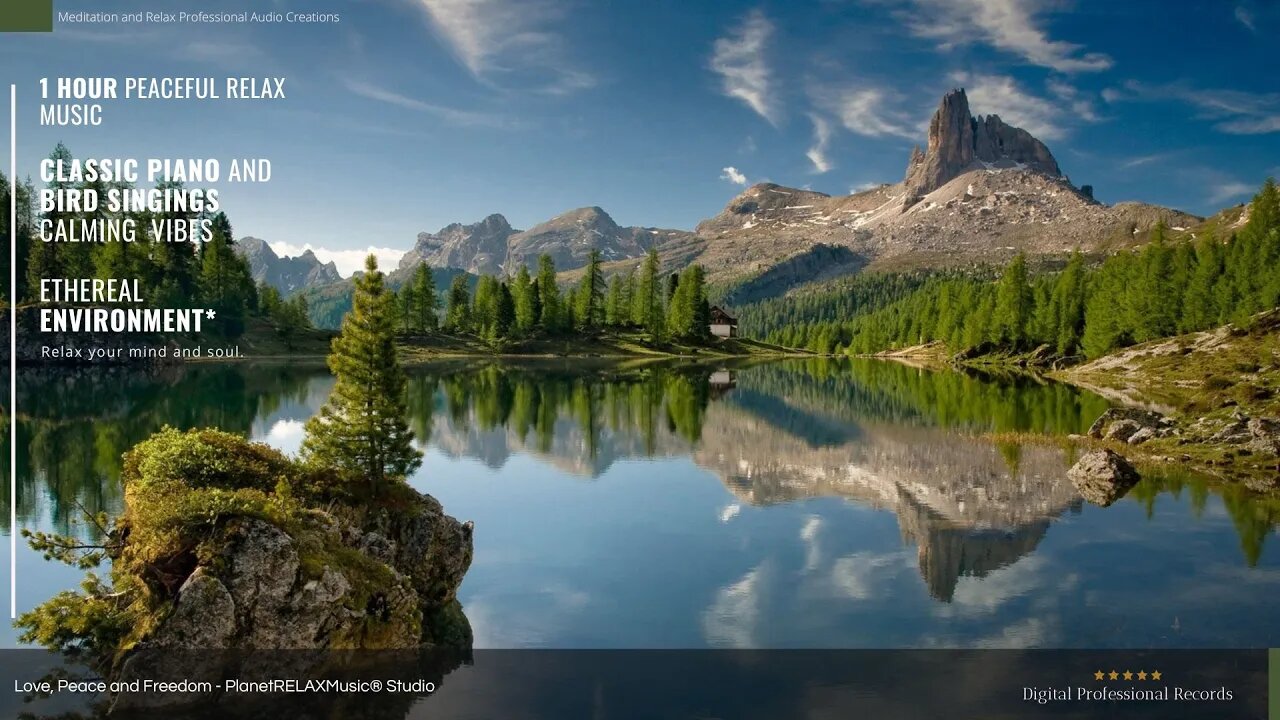 Best Piano and Singing Birds★︎ in a Gorgeous Natural Environment★︎ Pure Relaxing Vibes.