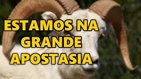 Estamos vivendo a grande apostasia - A segunda besta semelhante a um cordeiro [cortes]