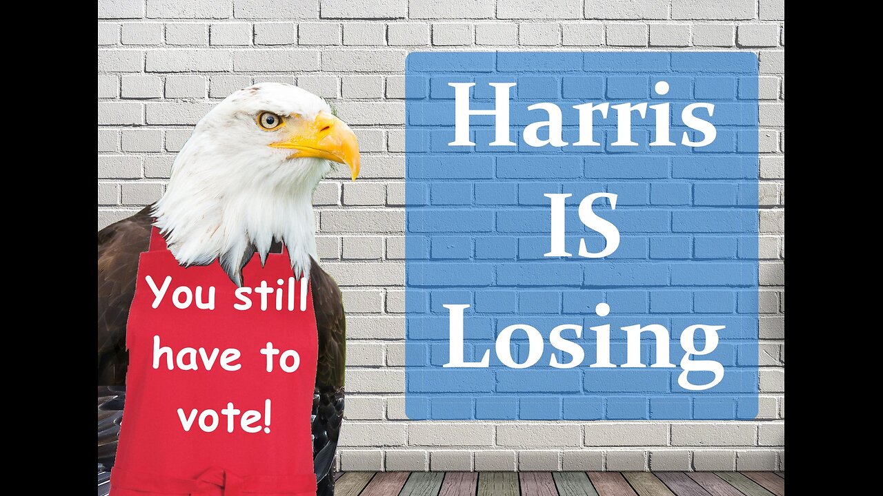 Harris IS Losing