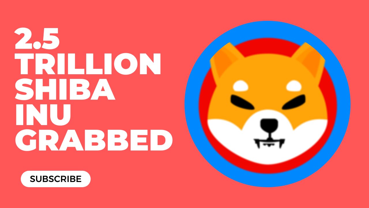 2 5 Trillion Shibi Inu Coin Grabbed By Who?