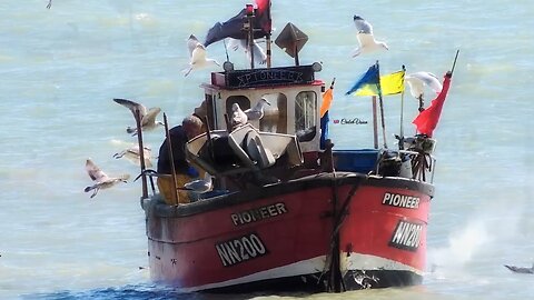 Pete Coe. I Courted A Wee Girl. Part Of Hastings Fishing Fleet