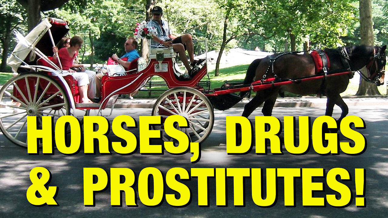 1980s Horse & Carriage Business Was WILD! w/ Tom O’Neill