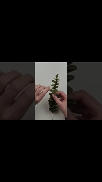 Making eucalyptus leaves with fabric felt #shorts #diy #eucalyptus #homedecor #diycrafts
