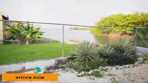 Are We To Always Honor Our Leaders?