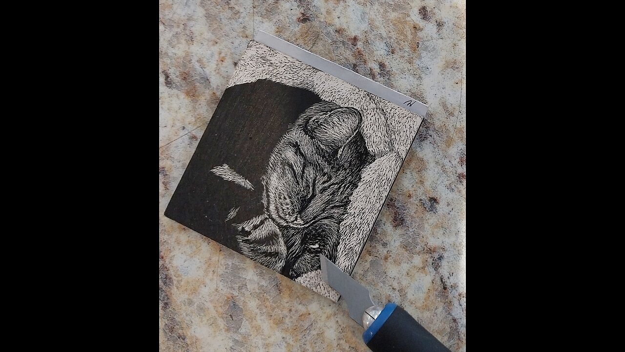 Petunia - Mini Scratchboard Drawing