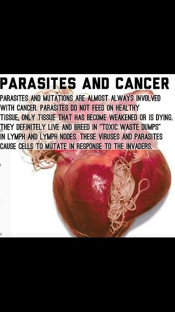 Garlic Galore: Mastering the Art of Growing Your Own Garlic 🧄