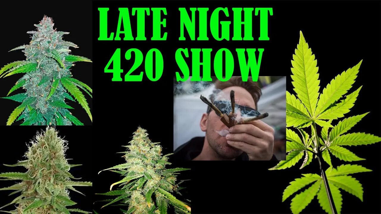 THE LATE NIGHT 420 SHOW COME CHILL AND SMOKE