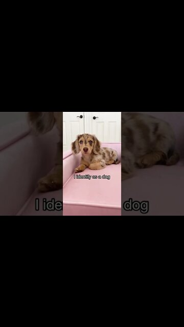 I’m just a baby part#2