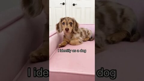 I’m just a baby part#2