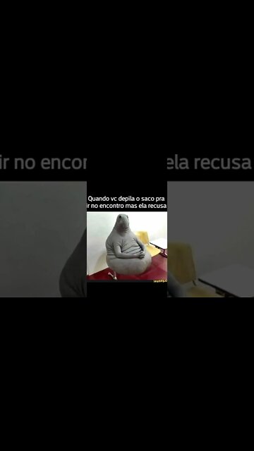 memes em imagens #42 Ligo o PC as 3 da manhã para #shorts