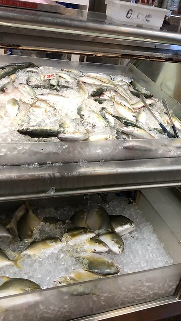 Hawaii surrounded by ocean BUT NO FISH