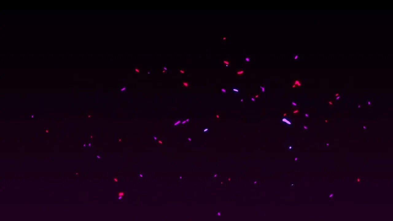 Pink Fire Particles Background Backdrop 4K 30fps Copyright Free