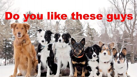 see what happens next