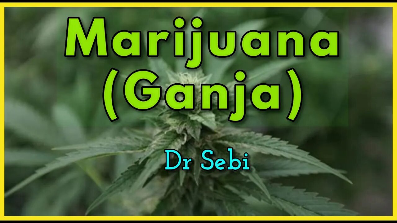 DR SEBI - THAT'S HOW POWERFUL MARIJUANA IS